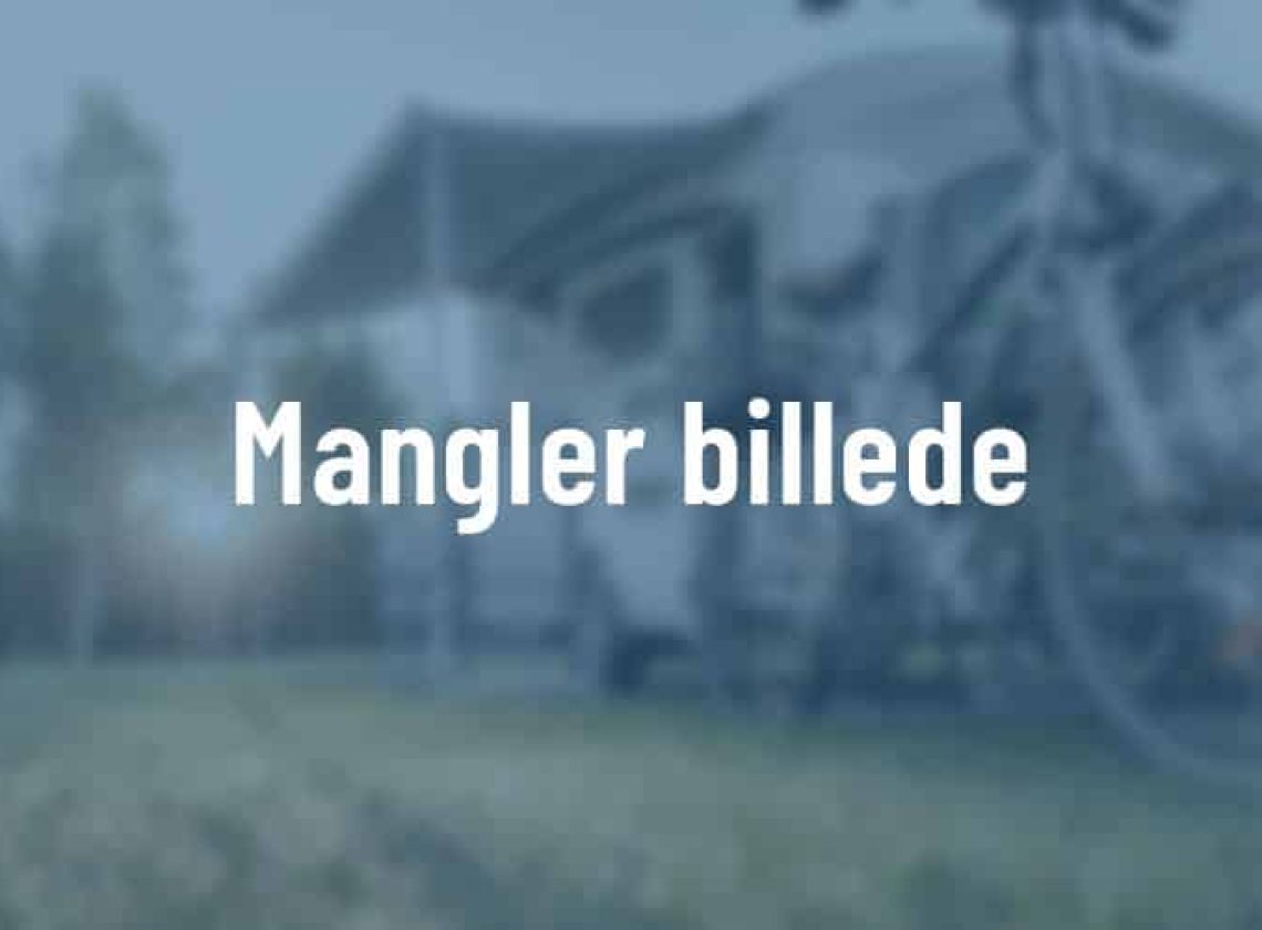 ManglerBillede